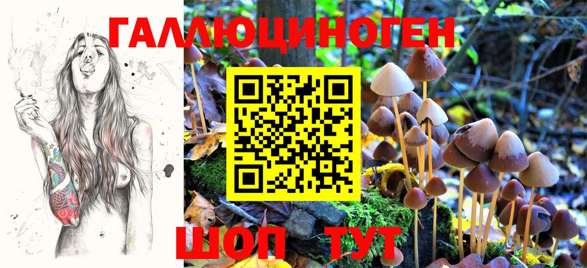 Псилоцибиновые грибы GOLDEN TEACHER  Псилоцибиновые грибы ЛСД  Верхний Уфалей  Вход с VPN 